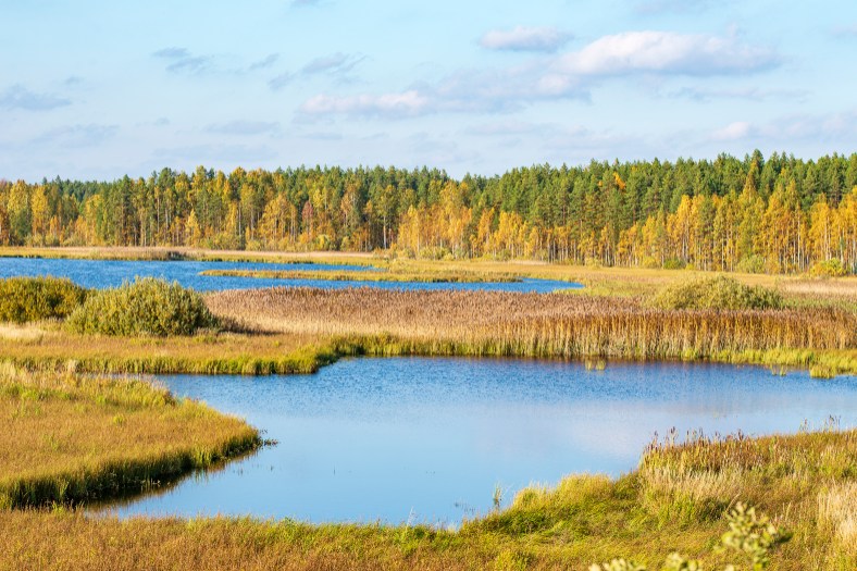tekemistä kangasniemellä